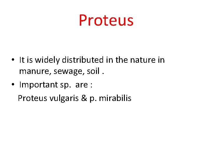 Proteus • It is widely distributed in the nature in manure, sewage, soil. •