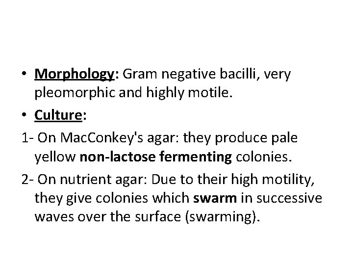  • Morphology: Gram negative bacilli, very pleomorphic and highly motile. • Culture: 1