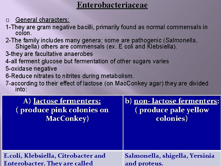 Enterobacteriaceae General characters: 1 -They are gram negative bacilli, primarily found as normal commensals