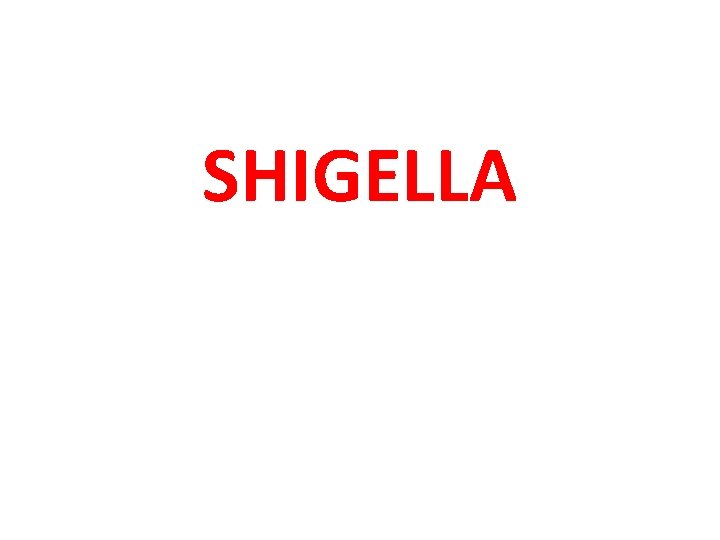 SHIGELLA 