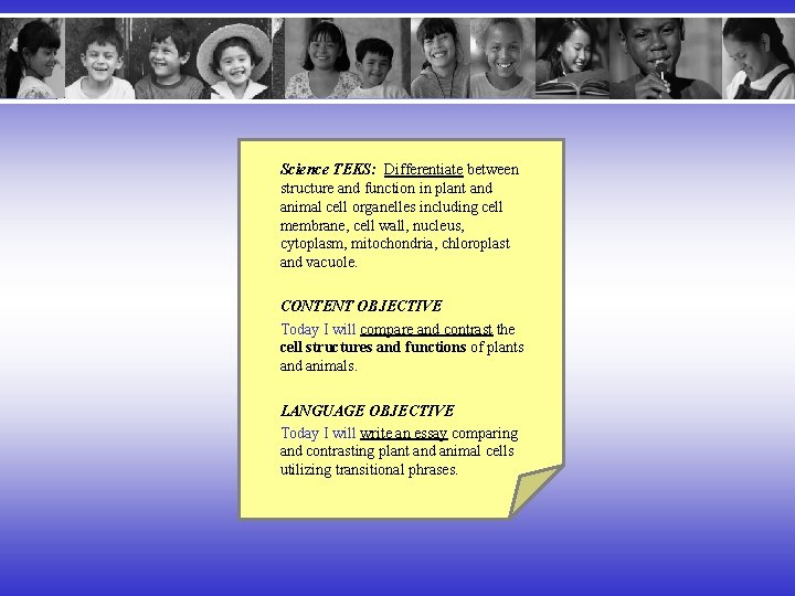 Science TEKS: Differentiate between structure and function in plant and animal cell organelles including