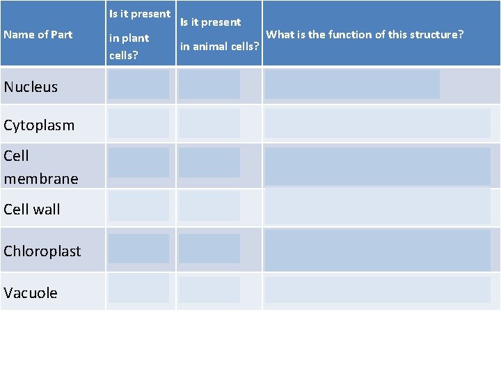 Is it present Name of Part Is it present What is the function of