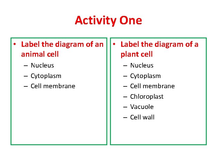 Activity One • Label the diagram of an animal cell – Nucleus – Cytoplasm