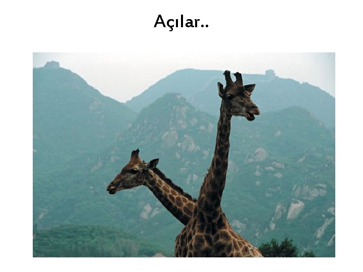 Açılar. . 