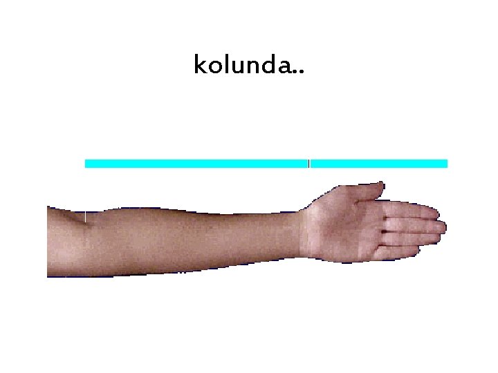 kolunda. . 