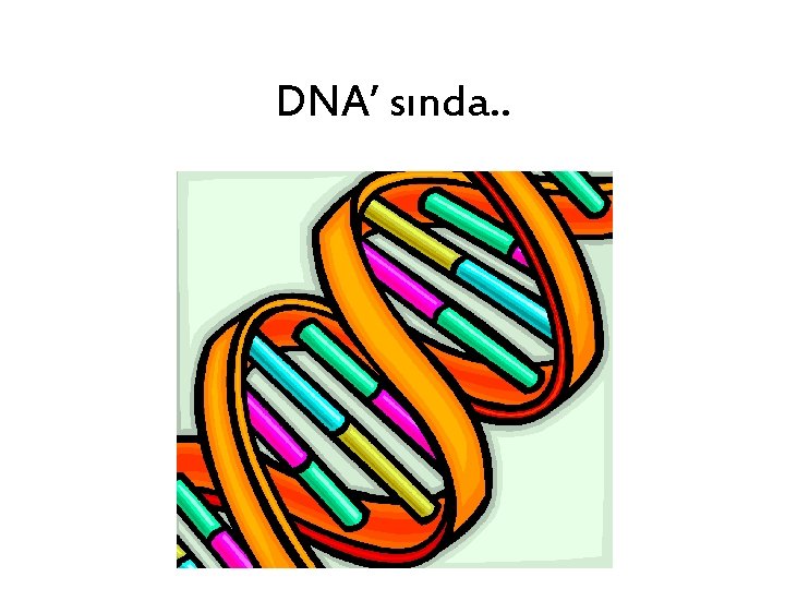 DNA’ sında. . 