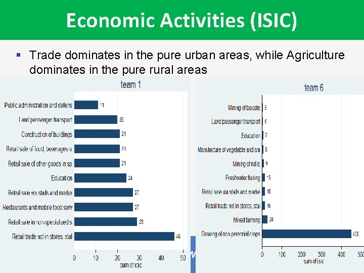 Economic Activities (ISIC) § Trade dominates in the pure urban areas, while Agriculture dominates