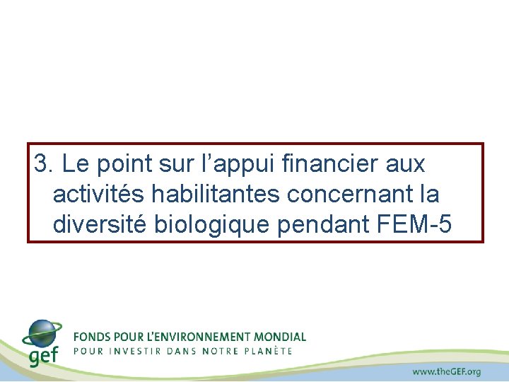 3. Le point sur l’appui financier aux activités habilitantes concernant la diversité biologique pendant