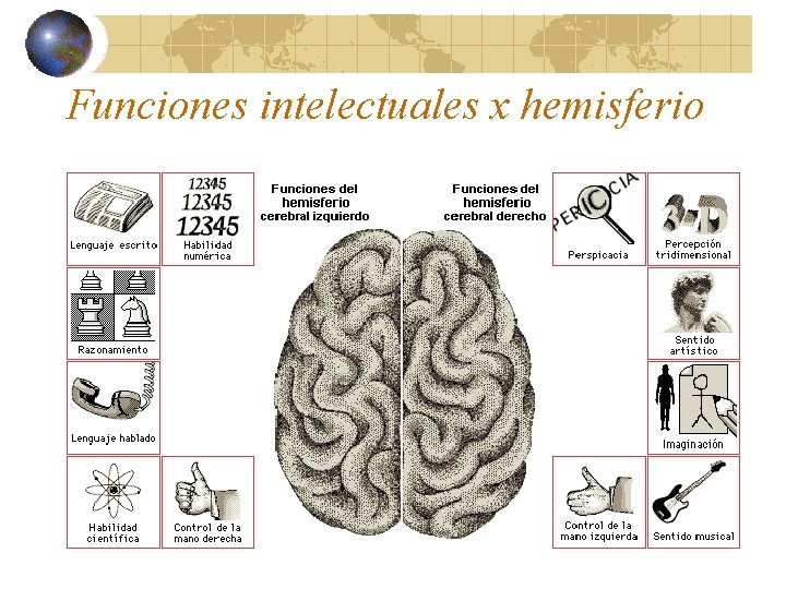 Funciones intelectuales x hemisferio 