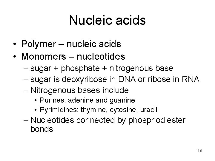 Nucleic acids • Polymer – nucleic acids • Monomers – nucleotides – sugar +