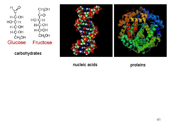 carbohydrates nucleic acids proteins 41 