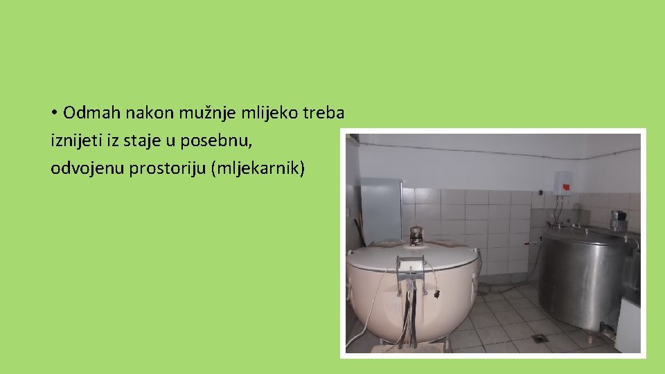  • Odmah nakon mužnje mlijeko treba iznijeti iz staje u posebnu, odvojenu prostoriju
