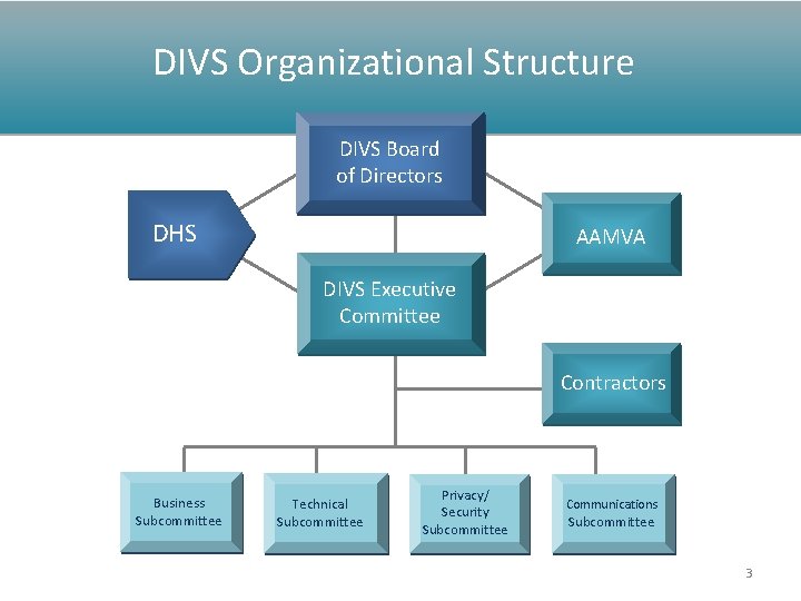 DIVS Organizational Structure DIVS Board of Directors DHS AAMVA DIVS Executive Committee Contractors Business