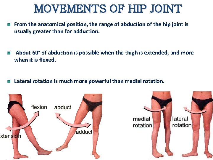 MOVEMENTS OF HIP JOINT From the anatomical position, the range of abduction of the