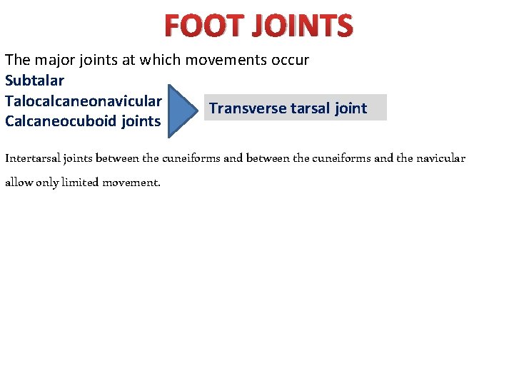 FOOT JOINTS The major joints at which movements occur Subtalar Talocalcaneonavicular Transverse tarsal joint