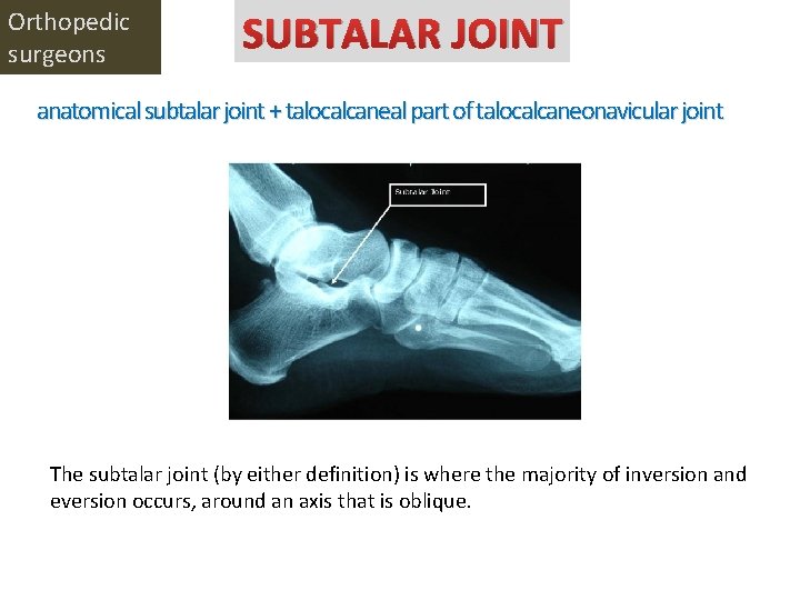 Orthopedic surgeons SUBTALAR JOINT anatomical subtalar joint + talocalcaneal part of talocalcaneonavicular joint The