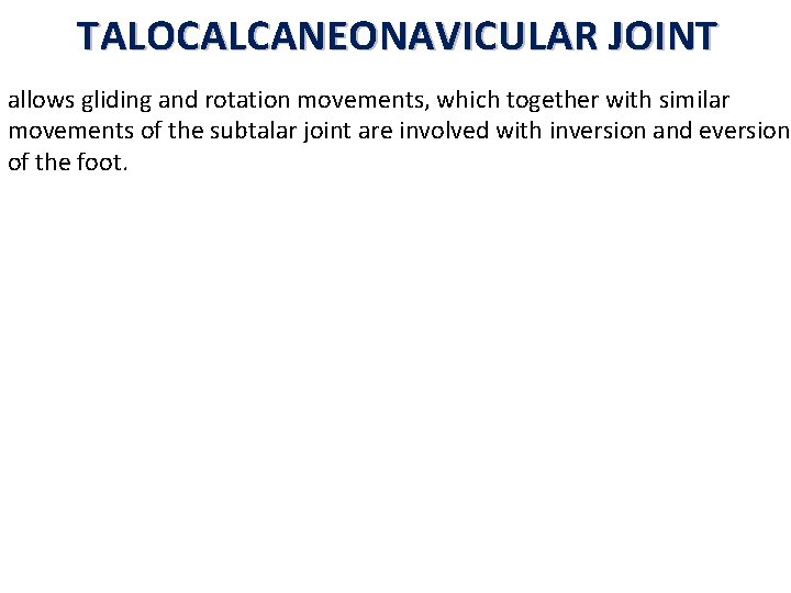 TALOCALCANEONAVICULAR JOINT allows gliding and rotation movements, which together with similar movements of the