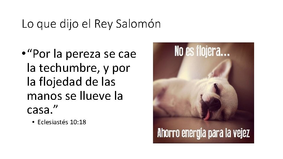 Lo que dijo el Rey Salomón • “Por la pereza se cae la techumbre,