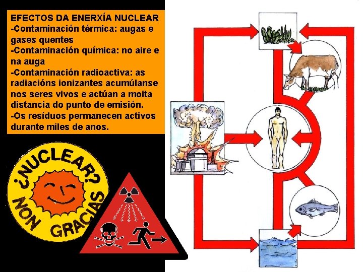 EFECTOS DA ENERXÍA NUCLEAR -Contaminación térmica: augas e gases quentes -Contaminación química: no aire