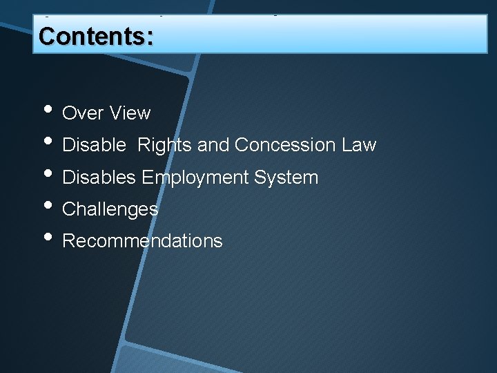 Contents: • Over View • Disable Rights and Concession Law • Disables Employment System