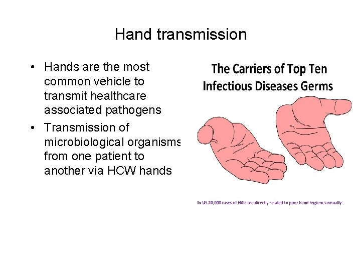 Hand transmission • Hands are the most common vehicle to transmit healthcare associated pathogens