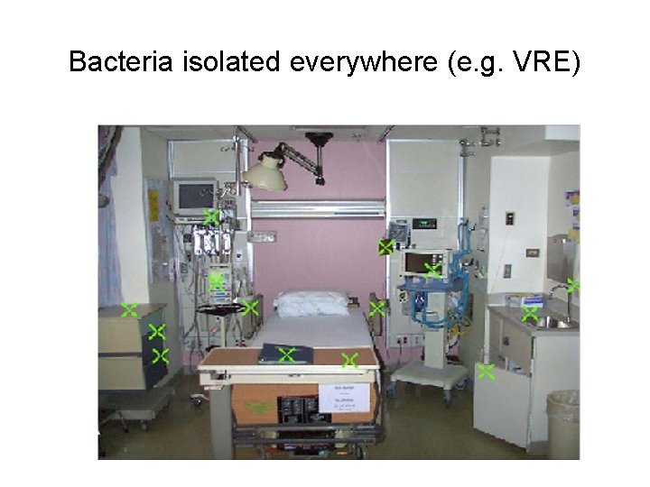 Bacteria isolated everywhere (e. g. VRE) 