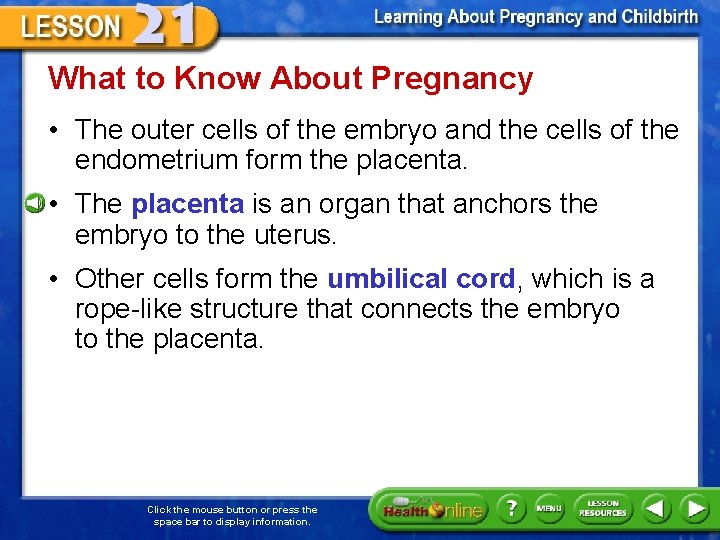 What to Know About Pregnancy • The outer cells of the embryo and the