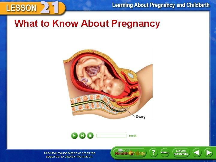 What to Know About Pregnancy Click the mouse button or press the space bar