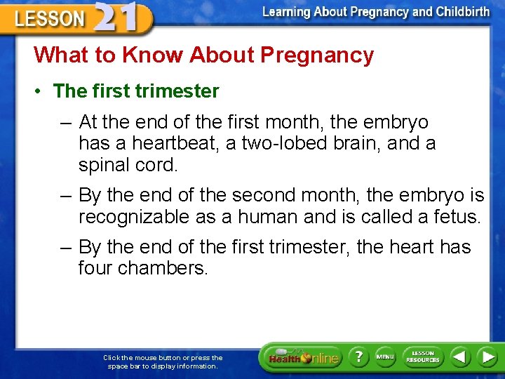What to Know About Pregnancy • The first trimester – At the end of