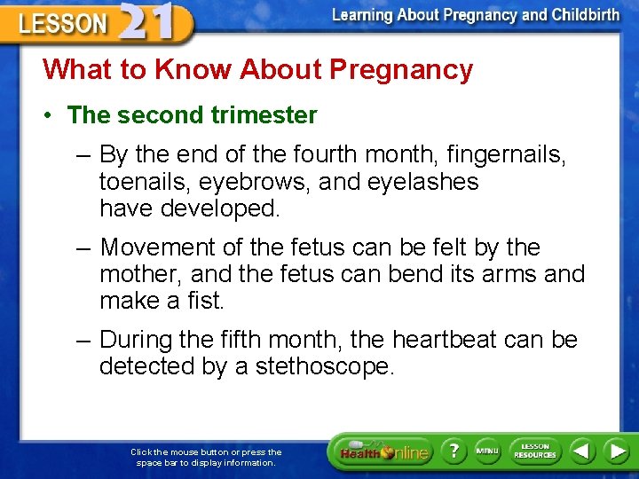 What to Know About Pregnancy • The second trimester – By the end of