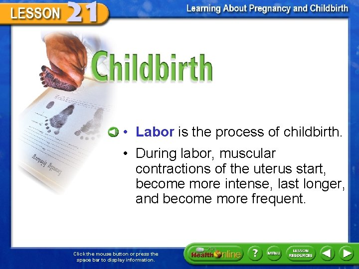 Childbirth • Labor is the process of childbirth. • During labor, muscular contractions of