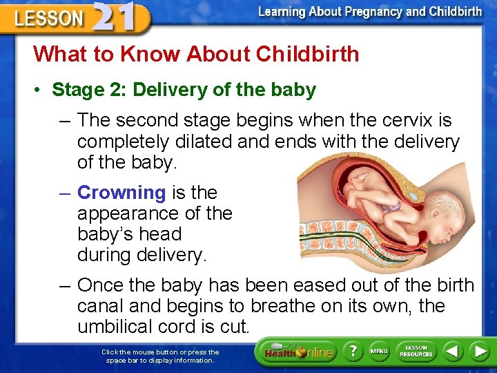 What to Know About Childbirth • Stage 2: Delivery of the baby – The