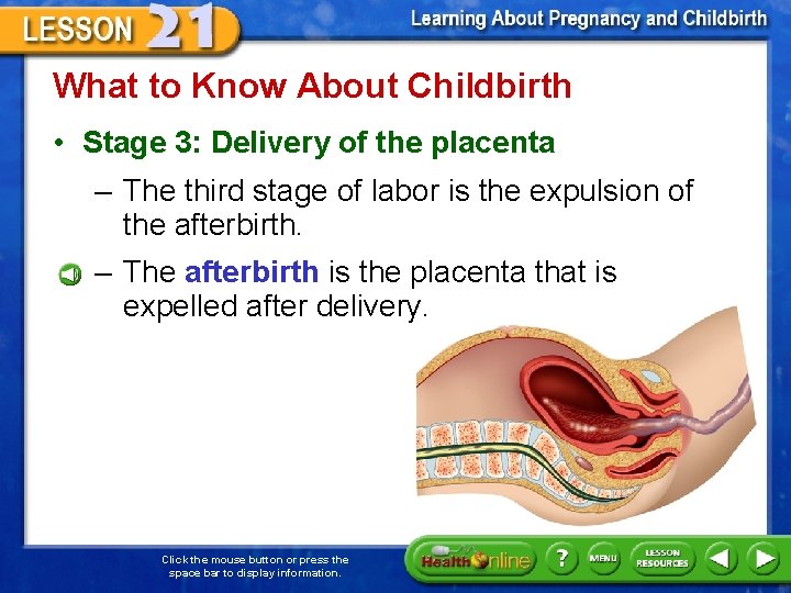What to Know About Childbirth • Stage 3: Delivery of the placenta – The