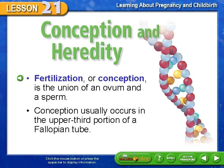 Conception and Heredity • Fertilization, or conception, is the union of an ovum and