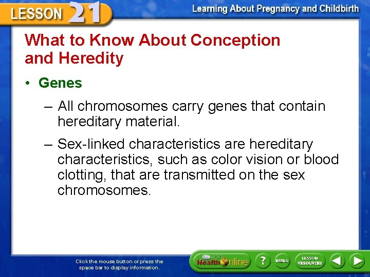 What to Know About Conception and Heredity • Genes – All chromosomes carry genes