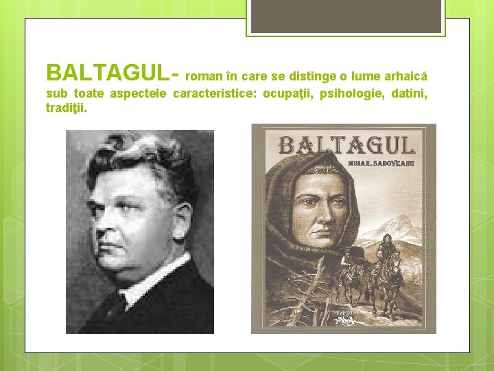 BALTAGUL- roman în care se distinge o lume arhaică sub toate aspectele caracteristice: ocupaţii,