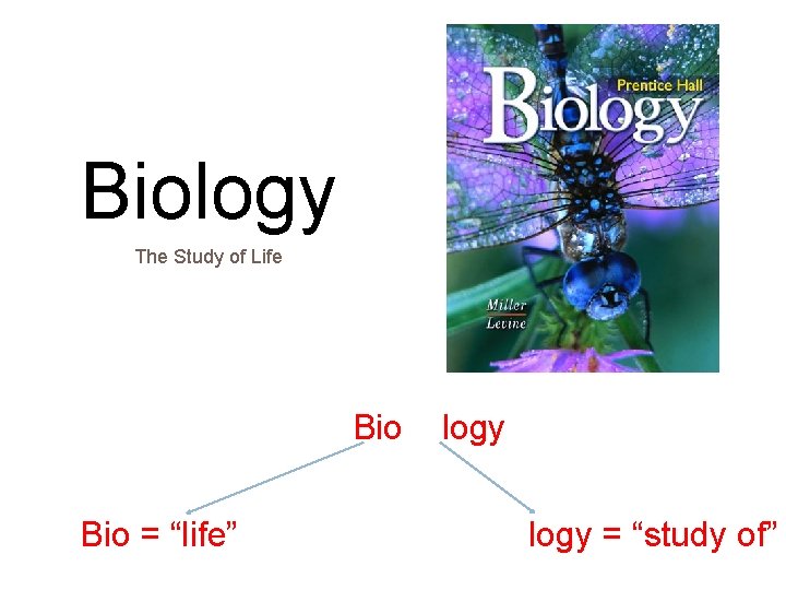 Biology The Study of Life Bio = “life” logy = “study of” 