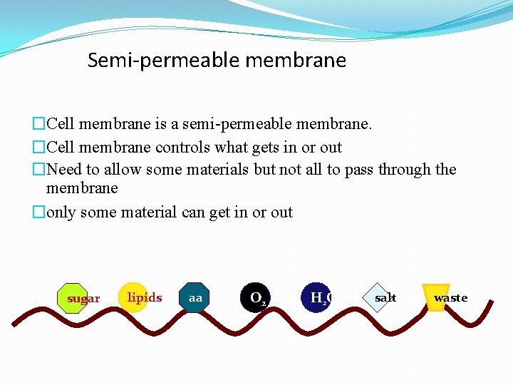 Semi-permeable membrane �Cell membrane is a semi-permeable membrane. �Cell membrane controls what gets in