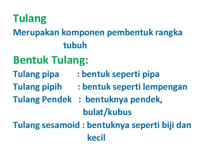 Tulang Merupakan komponen pembentuk rangka tubuh Bentuk Tulang: Tulang pipa : bentuk seperti pipa