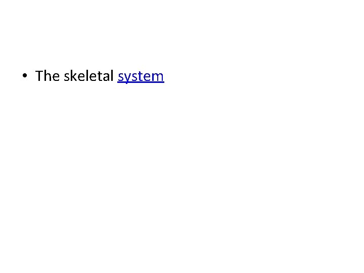  • The skeletal system 