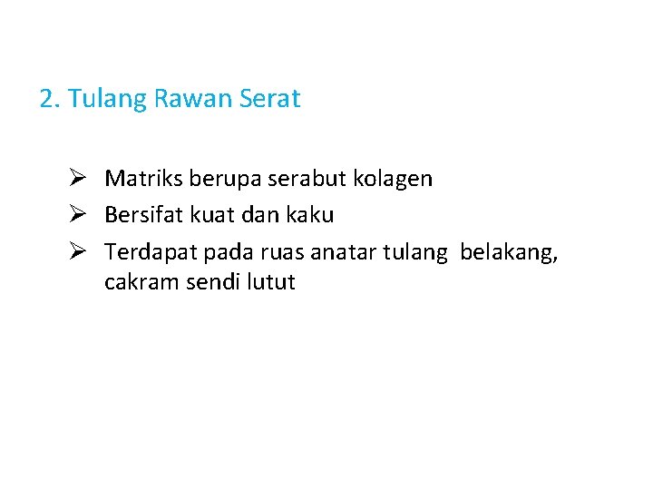 2. Tulang Rawan Serat Ø Matriks berupa serabut kolagen Ø Bersifat kuat dan kaku