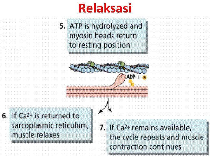 Relaksasi 
