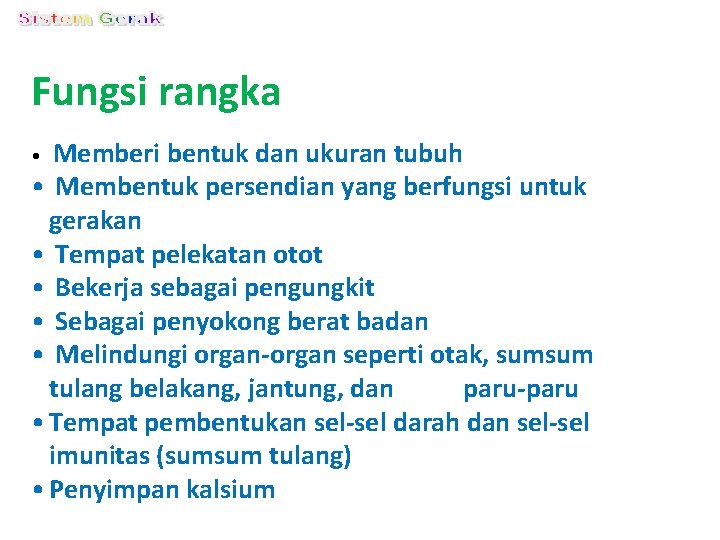 Fungsi rangka Memberi bentuk dan ukuran tubuh • Membentuk persendian yang berfungsi untuk gerakan