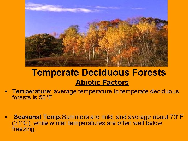 Temperate Deciduous Forests Abiotic Factors • Temperature: average temperature in temperate deciduous forests is