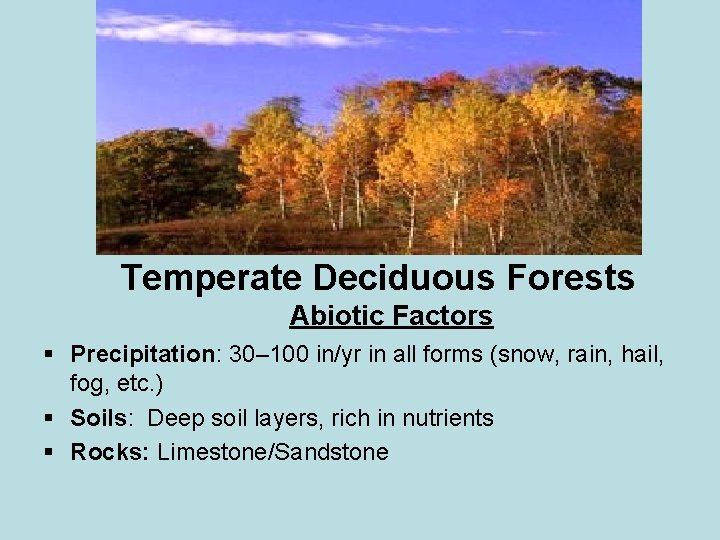 Temperate Deciduous Forests Abiotic Factors § Precipitation: 30– 100 in/yr in all forms (snow,