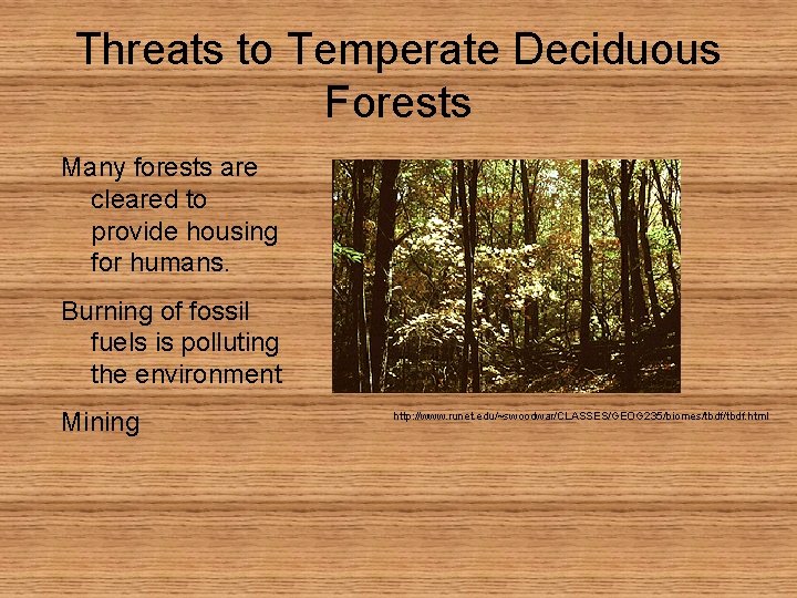 Threats to Temperate Deciduous Forests Many forests are cleared to provide housing for humans.