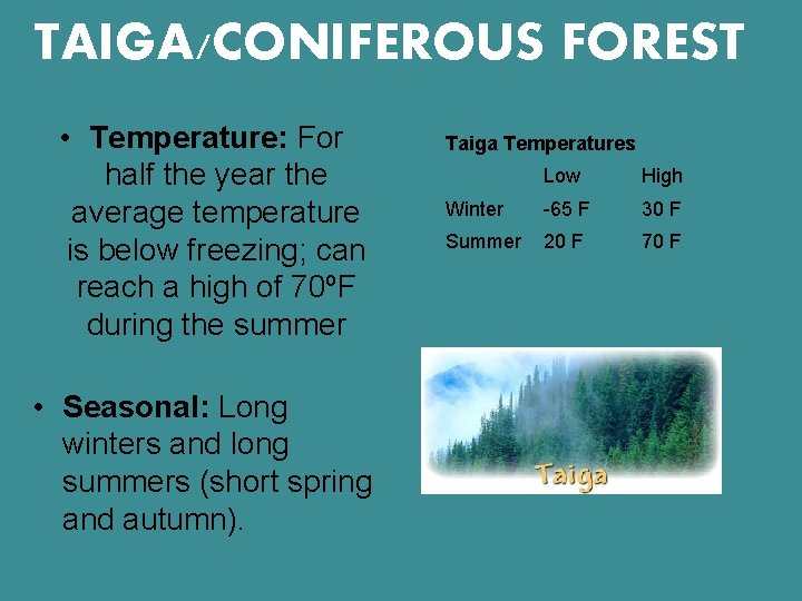 TAIGA/CONIFEROUS FOREST • Temperature: For half the year the average temperature is below freezing;