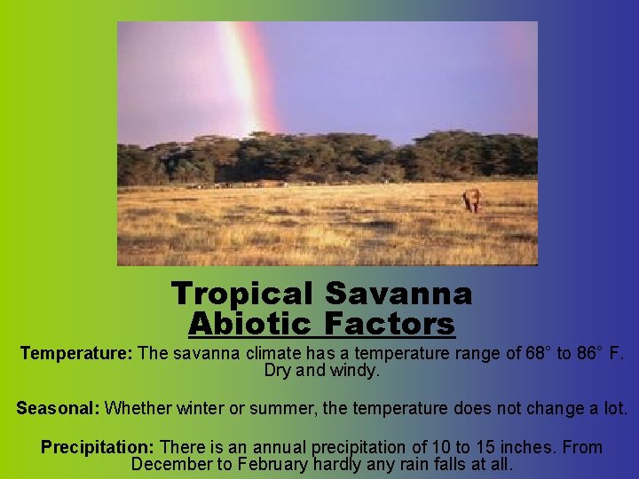 Tropical Savanna Abiotic Factors Temperature: The savanna climate has a temperature range of 68°