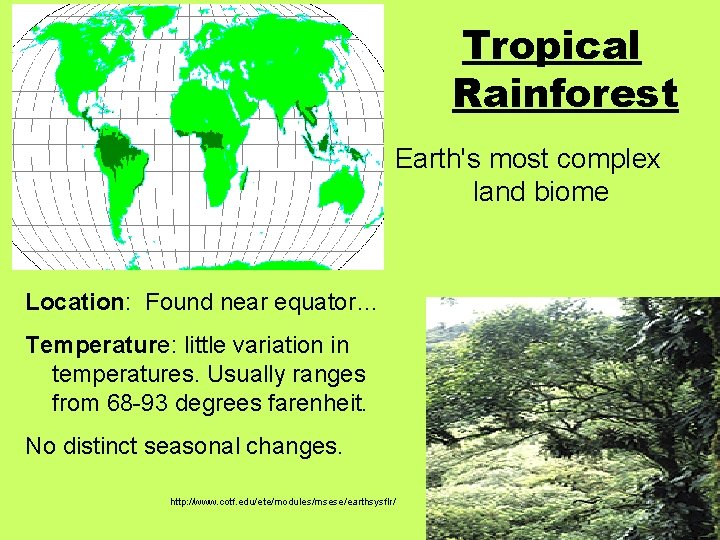 Tropical Rainforest Earth's most complex land biome Location: Found near equator… Temperature: little variation