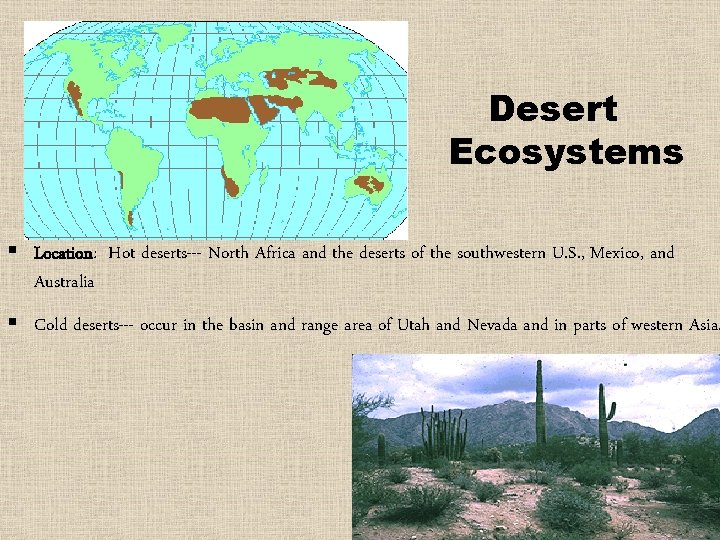 Desert Ecosystems § Location: Hot deserts--- North Africa and the deserts of the southwestern